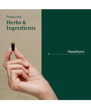 GAIA HERBS PRO Hawthorn - Cardiovascular Health Support Supplement* - Circulation Support Supplement* with Organic Hawthorn Berry - 60 Liquid Phyto-Capsules (60 Servings) - Buy Online on GoSupps.com