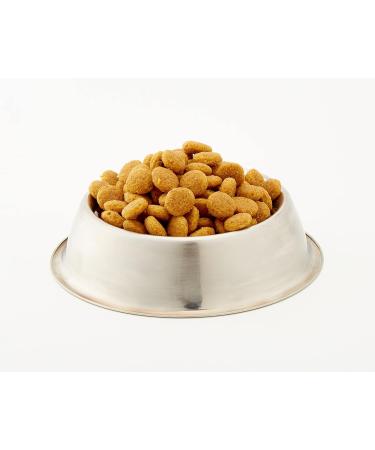 Royal Canin - Royal Canin Maxi Dermacomfort dog food Capacity: 3 kg - Buy Online on GoSupps.com