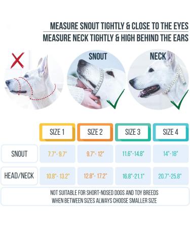 GoodBoy Dog Head Halter with Safety Strap - Stops Heavy Pulling On The Leash - Padded Headcollar for Small Medium and Large Dog Sizes - Head Collar Training Guide Included (Size 1 Black) Size 1 (Pack of 1) Black Nylon / Black Padding - Buy Online on GoSupps.com