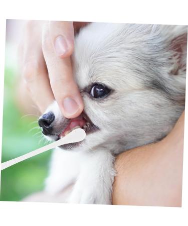 Happyyami 5pcs Pet Toothbrush Oral Cleaning Toothbrush Dog Toothbrushes Pet Supplies Toothpaste Small 1 count (Pack of 1) Whitex5pcs - Buy Online on GoSupps.com