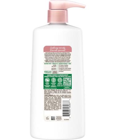 Garnier Whole Blends Gentle Vegan Shampoo Oat Delicacy Soothing and Hydrating For Delicate Hair and Sensitive Scalp Paraben-Free 828 mL Shampoo 828.00 ml (Pack of 1) - Buy Online on GoSupps.com