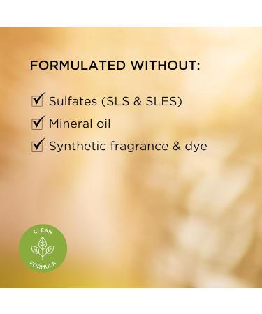 Elizabeth Arden White Tea Skin Solutions Nature's Superpower Glow Heroes 2-Piece Set with Fortifying Bi-Phase Oil Serum & Replenishing Micro-Gel Cream Hydrating & Brightening Vegan - Buy Online on GoSupps.com