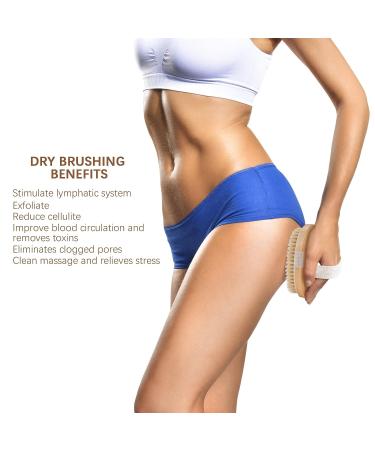 Set of 2 Body Brush for Exfoliation & Circulation Boost - Natural Bristle Dry Skin Brush & Soft Silicone Scrubber for all Skin Types - Gray/Brown - Buy Online on GoSupps.com