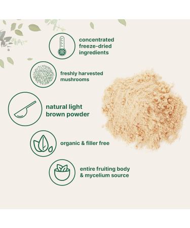 Micro Ingredients MCT Oil Powder with Prebiotic Fiber & Lions Mane Mushroom Supplement Powder Bundle 2 Pack | C8 MCT Oil for Coffee Creamer | Natural Superfood for Brain Energy & Immune Health - Buy Online on GoSupps.com