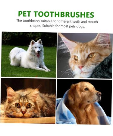 CIYODO 1 Set Pet Toothbrush Dog Mouth Cleaning Tool Dog Chew Toothbrush Dog Toothbrush and Toothpaste Pp - Buy Online on GoSupps.com