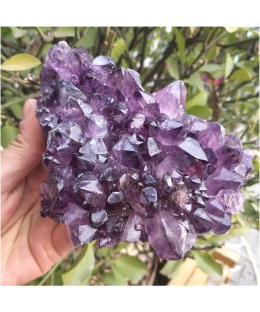540-560g Natural Dream Amethyst Quartz Crystal Cluster Specimen qiangang - Buy Online on GoSupps.com