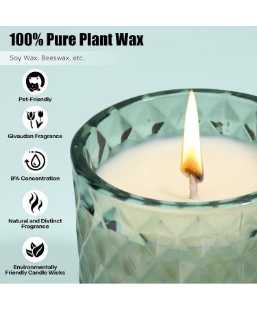 Serenity Warm Amber Scented Candle | 7 oz Natural Soy Aromatherapy | Long Lasting Home D cor | Relaxation Gift for Women & Men - Buy Online on GoSupps.com