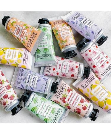 EVOLUDERM Aloe Vera Hand Cream 30 ml 97% Natural Ingredients Vegan Made in France Pack of 3 x 30 ml - Buy Online on GoSupps.com