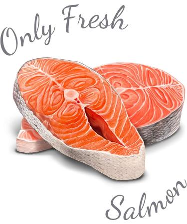 Amanova Super Premium Dry Dog Food for Small Breed Dogs with Sensitive Skin and Hair with Salmon Flavor - 100% Natural Hypoallergenic and Monoprotein - Grain Free - Cruelty Free (2 Kg) - Buy Online on GoSupps.com