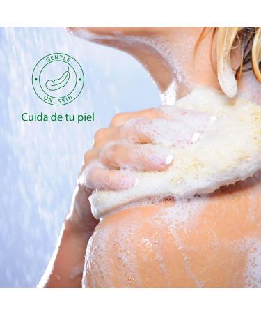 Intercabo Jerrycan with 5L shower gel bath gel 5 liters refill pack of bath gel hotel equipment liquid soap almond blossom shower gel moisturizing Almond 5 l 1er Pack - Buy Online on GoSupps.com