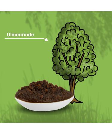 Medidog 500g Premium Ulmenrinden Paste for Dogs | All-Natural Digestive Support | Made in Germany | Quick Relief from Diarrhea & Heartburn - Buy Online on GoSupps.com