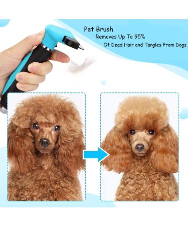 AUDALA Pet Grooming Brush Deshedding Tool Shedding Tool for Dogs Efficiently de Remove Reduce Loose Hair for Small Medium Large Pet - Buy Online on GoSupps.com
