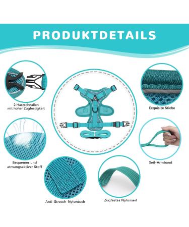 Adjustable Cat Dishes for Kittens & Puppies | Blue Lake Cat Feeding Set - International Shipping - Buy Online on GoSupps.com