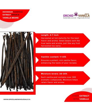 Indonesian Extract Grade-B Vanilla Beans For Extract Making By Count (50 Beans (Pack of 1)) - Buy Online on GoSupps.com