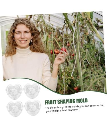 TEHAUX 4pcs Plastic Strawberry Melon Mold Fruit Clear Tools Gardening Design Major Shaping Forming - Buy Online on GoSupps.com
