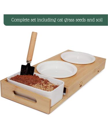 Buy PfotoLymp Cat Grass Re-Plant Set - Wheat Grass Seed & Earth for DIY Cat Grass in Porcelain Bowls - Buy Online on GoSupps.com
