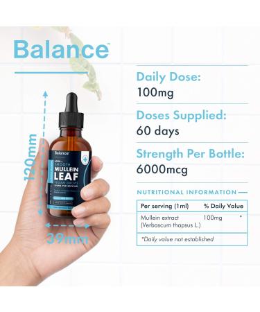 Balance Mullein Leaf Liquid Drops - 120ml for 4 Month Supply - High Strength - Vegan - 120 Servings - Premium Mullein Leaf Extract - 6 000mg per Bottle - Sublingual for Fast Absorption - Made in UK 60 ml (Pack of 2) - Buy Online on GoSupps.com