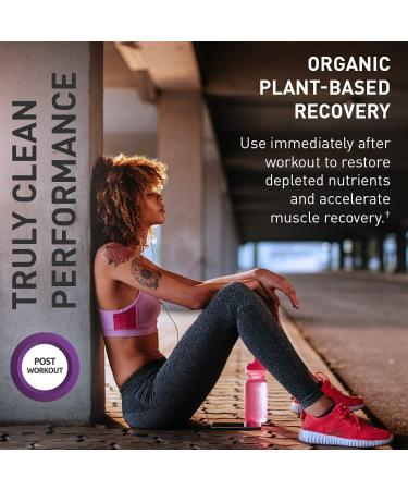 Organic Plant Based Post Workout Recovery Powder - BlackBerry Lemonade | Garden of Life Sport | 30 Servings - Buy Online on GoSupps.com