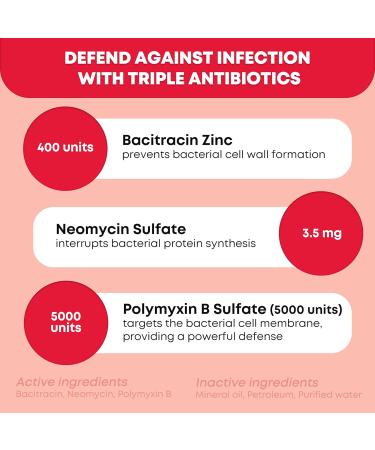 Ever Ready First Aid Triple Antibiotic Ointment 1.0 oz First Aid Ointment for Minor Scratches Cuts Burns Wounds and Prevents Infection - 12 Pack 12 Count - Buy Online on GoSupps.com
