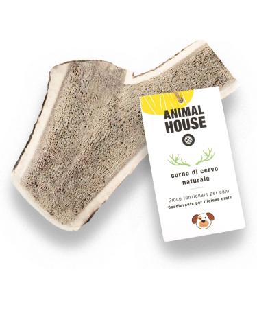 Animal House - shared deer antlers for dogs - 100% natural causnack - mouth hygiene - resistant and durable - available in all sizes (XXL) XXL 1 piece (1 Pack)
