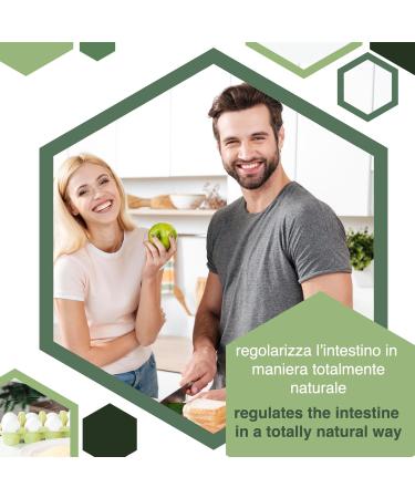 ERBOTECH Psyllium Husk powder Pack de 200 gr Riche en Fibres Concentr et Sans Additifs Purifie l'Intestin Active le M tabolisme et Renforce le Syst me Immunitaire 200 g (Lot de 1) - Buy Online on GoSupps.com