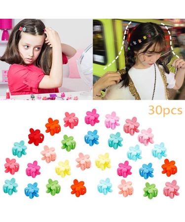 BREEZO Hair Clips Pins Mini Hair Accessories Hairstyle Aid Set for Children Girls Women 30 Pieces Hair Claw Clips