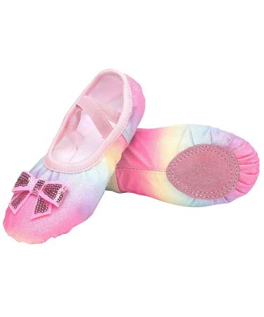 Happy Cherry Girl Ballet Shoes Shared Leather Sole Dance Shoes Ballet Tap Ballet Training Dance Shoes 25-35 EU 30 EU 01 Rainbow Colors