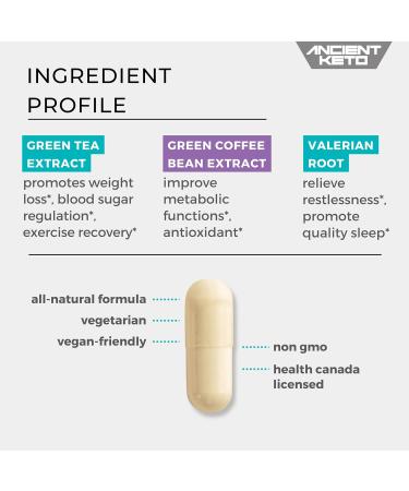 Burn PM Diet Support Sleep Aid Pills Melatonin Free Green Tea Extract and Valerian Root Supplement for Men and Women by Ancient Keto (60 Vegan Capsules) Night - Buy Online on GoSupps.com