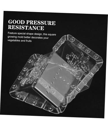 SUPVOX 2pcs Square Apple Molds Mushroom Plastic Fruit Square Shaping Square Model - Buy Online on GoSupps.com