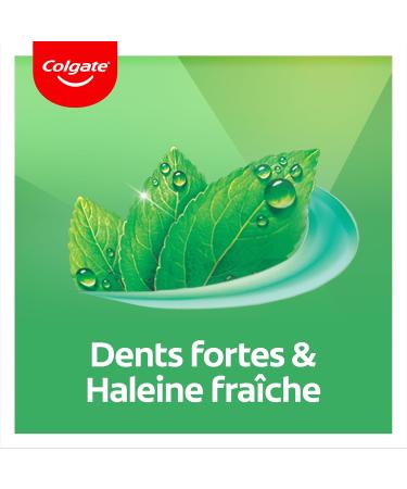 Colgate Intense Freshness Chlorophyll Toothpaste - 96% natural ingredients - Effective protection against cavities and plaque - pack of 12 x 75 ml - Buy Online on GoSupps.com