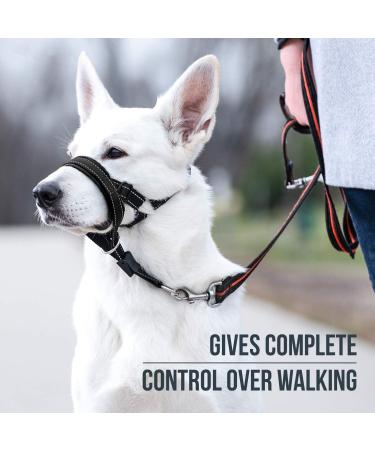 Goodboy Dog Halver with Service Belt - Padded Leash Halter for All Dog Sizes - Stops Pulling & Includes Training Instructions - Size 2 - Black - Buy Online on GoSupps.com