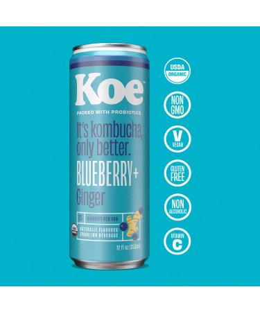 Koe Organic Kombucha Cans Blueberry Ginger | Sparkling Fruit Drink with Probiotics and Vitamin C | 12 oz Pack of 12 - Buy Online on GoSupps.com