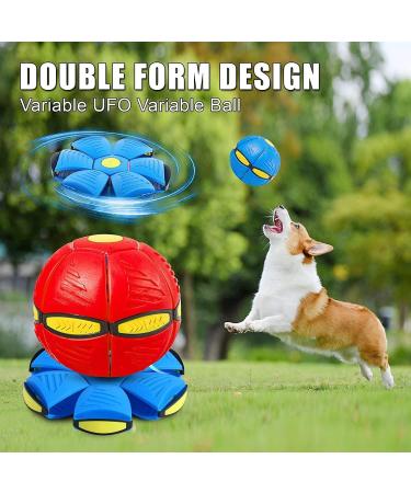 LILOVE 2024 New Strangeness Flying Saucer Ball for Dogs Toy Dog Pet Toy Flying Saucer Ball UFO Doggo Ball Large Small Dog Balls Toy Phlat Ball Dog Frisbee Scooby Doo Dog Ball(Green) - Buy Online on GoSupps.com