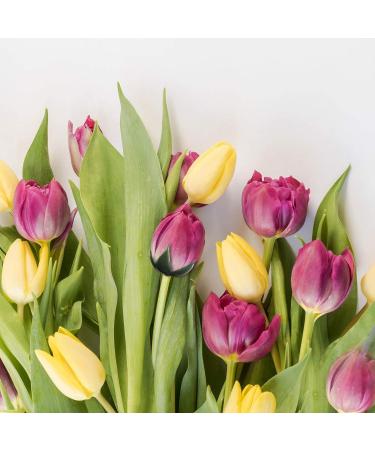 ARTIBETTER 50Pcs Artificial Flower Calyxes - DIY Craft and Flower Arrangement Supplies - Buy Online on GoSupps.com