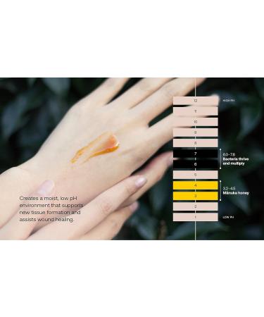 First Honey 100% Active Manuka Honey Ointment | 14.2g | Soothes Heat, Itchiness & Pain | Sterile & Protects from Infection - Buy Online on GoSupps.com