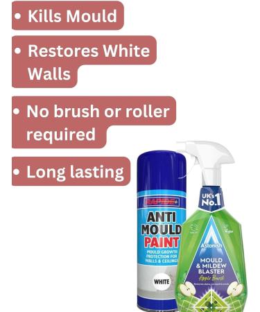 Anti Mould Spray Paint and Mould Remover Set - Bundle Includes Rapide Anti Mould White Spray Paint Astonish Mould and Mildew Remover Scrubbing Brush Pair of Disposable Gloves - Buy Online on GoSupps.com