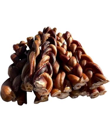 Bully Sticks for Dogs - Braided Bully Sticks Dog Chew Treat - *(6 INCH Braided 7 Pack Approx. 300 Grams)* - Bully Sticks - Low to No Odor Bull Pizzle - Thick Premium Long Lasting Braided Bully Sticks - Buy Online on GoSupps.com