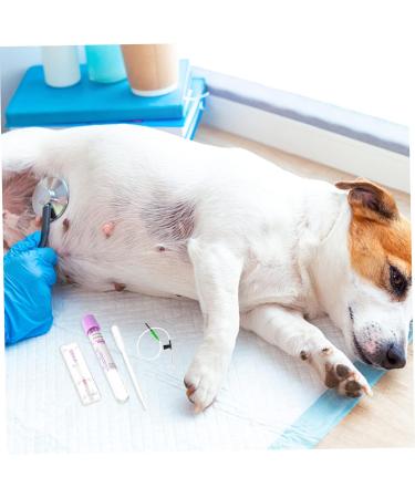 JOEBO Dog Pregnancy Test Strip - Early Detection Urine Test for Pets | Home Test Kit for Puppy Pregnancy - Buy Online on GoSupps.com