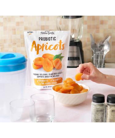 Nature's Garden Probiotic Apricots - Plump Dried Fruit with Added Probiotics - Bulk 40 Oz Bag (Pack of 2) - Buy Online on GoSupps.com