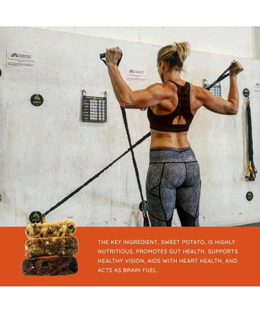MuscleUp Gluten Free Non-GMO Sweet Potato Protein Bars - Peanut Butter & Cacao Nibs (12 Bars) | International Shipping Available - Buy Online on GoSupps.com
