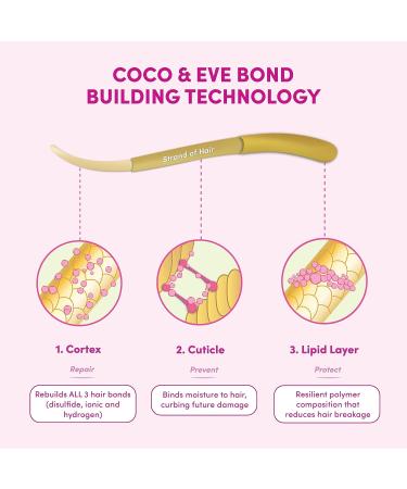 Coco & Eve Bond Building Pre-Shampoo Treatment for Dry, Damaged Hair - Repair, Deep Condition, & Prevent Hair Breakage (4.23 fl oz) - Buy Online on GoSupps.com