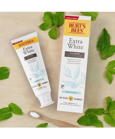 Burt's Bees Extra White Toothpaste Fluoride Toothpaste Natural Flavor Mountain Mint 4.7 oz Pack of 3 - Buy Online on GoSupps.com