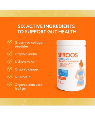Sproos Gut Collagen | Hydrolyzed Collagen Powder + Inulin L-Glutamine Ginger Quercetin Aloe Vera| Enhanced Grass-Fed Collagen Peptides Powder Apple Ginger Flavour Tub 311g - Buy Online on GoSupps.com