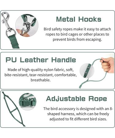 Felenny Bird Dishes & Adjustable Leash - Essential Outdoor Accessories for Scarlet Red Ara Sun Conure & Nymphensittich (Green Small) - Buy Online on GoSupps.com