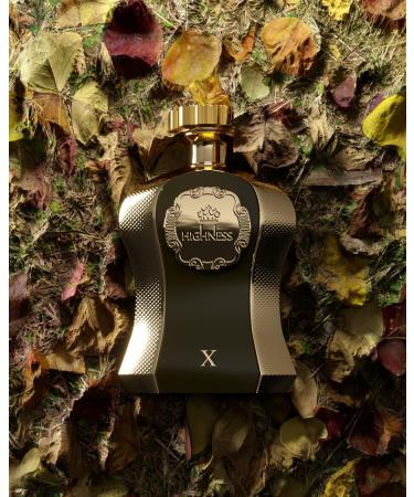 Afnan Highness Brown Luxury Unisex Eau De Parfum 3.4 Fl. Oz - Buy Online on GoSupps.com