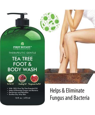 Tea Tree Body & Foot Wash - Fights Corns, Calluses, Dandruff, Warts, Nail Issues, Acne, Body Odor, Eczema, Jock Itch - 100% Natural - 16 fl oz - Buy Online on GoSupps.com