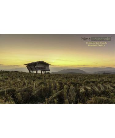 PrimeHousehold Eco-Friendly Dishwasher Cleaner - 15 Tablets | Shop Now - Buy Online on GoSupps.com