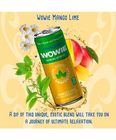 Wowie Hemp Infused Calming Sparkling Beverage Variety Pack 12 oz - Herbal Adaptogens, All Natural, Low Calorie, Non Alcoholic - Pack of 12 - Buy Online on GoSupps.com