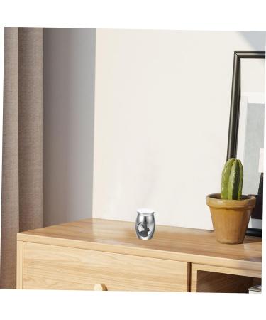 BESPORTBLE 5pcs Rabbit Urn Small Pet Urn Bunny Dog Urns for Ashes Mini Urns for Ashes Urn Small Stainless Steel 4.00X3.00X3.00CMx5pcs Silverx5pcs - Buy Online on GoSupps.com