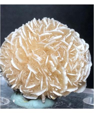Crystal Cluster 120g Natural Desert Rose Selenite raw Crystal Stone Specimen Rough Sample Cluster fengshui Decor Natural Luster - Buy Online on GoSupps.com